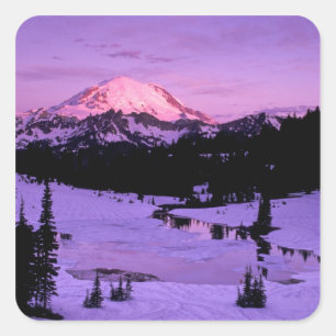 N.A., USA, Washington, Mt. Rainier National 3 Quadratischer Aufkleber