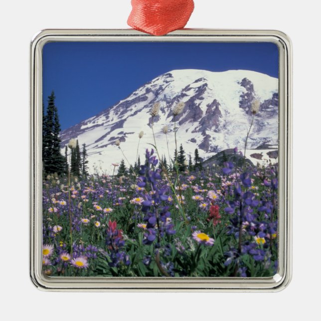 N.A., USA, Washington Mt. Rainier und Ornament Aus Metall (Vorne)