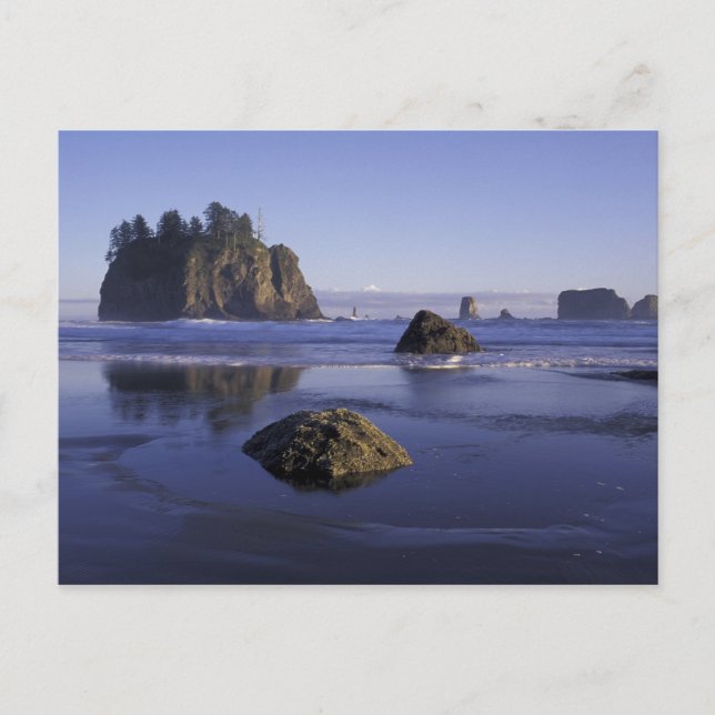 N.A., USA, Washington, Olympic National Park, 3 Postkarte (Vorderseite)