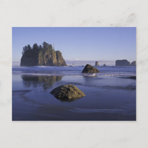 N.A., USA, Washington, Olympic National Park, 3 Postkarte