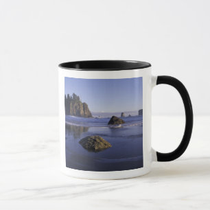 N.A., USA, Washington, Olympic National Park, 3 Tasse
