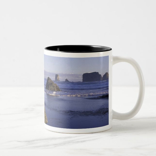 N.A., USA, Washington, Olympic National Park, 3 Zweifarbige Tasse (Rechts)