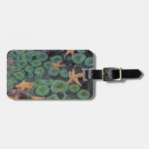 N.A., USA, Washington, Olympic National Park Gepäckanhänger