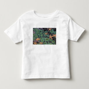 N.A., USA, Washington, Olympic National Park Kleinkind T-shirt