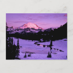 N.A., USA, Washington, Rainier National 3 Postkarte