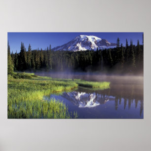 N.A., USA, Washington, Rainier National 5 Poster
