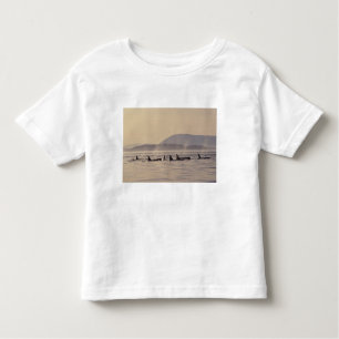N.A., USA, Washington, San Juan Islands Orca Kleinkind T-shirt