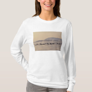 N.A., USA, Washington, San Juan Islands Orca T-Shirt