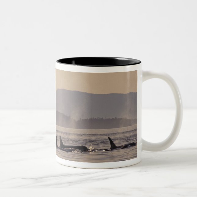 N.A., USA, Washington, San Juan Islands Orca Zweifarbige Tasse (Rechts)