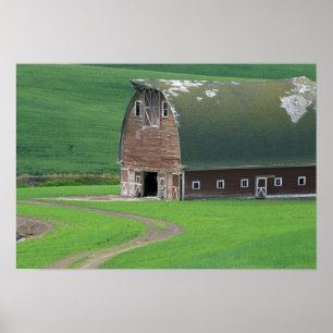 N.A., USA, Washington, Whitman County. Alt Poster