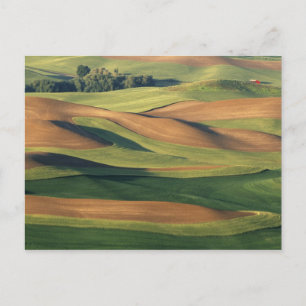 N.A., USA, Washington, Whitman County. Postkarte