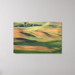 N.A., USA, Washington, Whitman Landkreis. Leinwanddruck