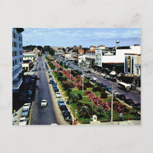 N Palafax St., Pensacola FL Vintag Postkarte