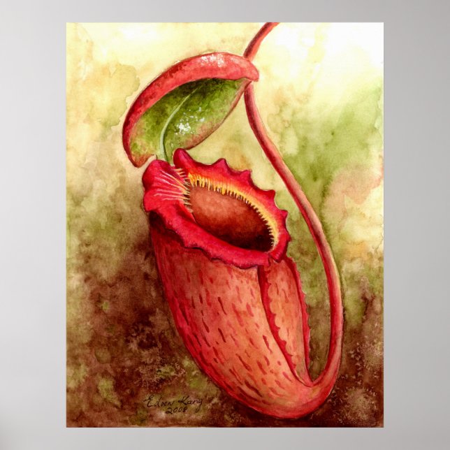 N Rajah Watercolor Art Poster (Vorne)