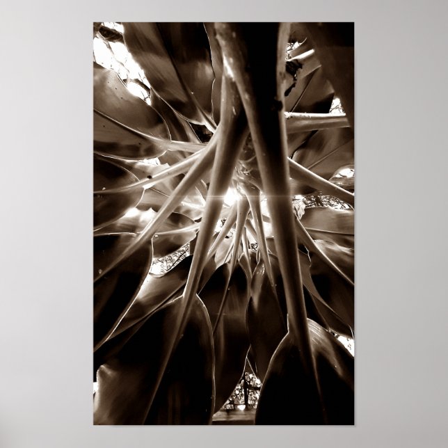 Na direção do sol poster (Vorne)