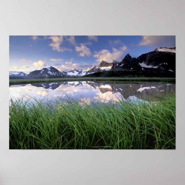 NA, Kanada, Alberta, Tonquin Valley. Jasper Poster (Vorne)