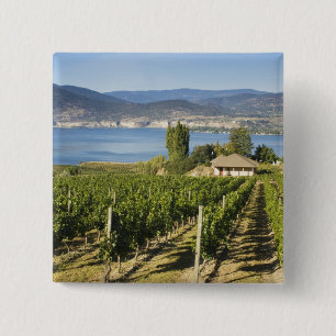 NA; Kanada; British Columbia; Okanagan Valley; Button