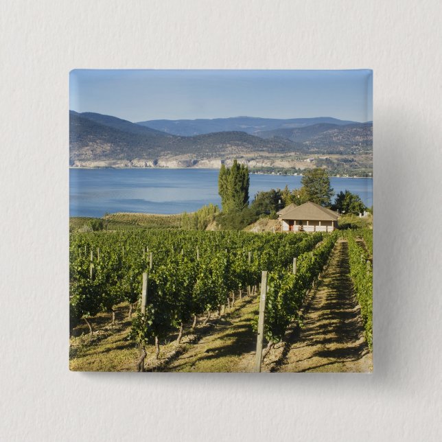 NA; Kanada; British Columbia; Okanagan Valley; Button (Vorderseite)