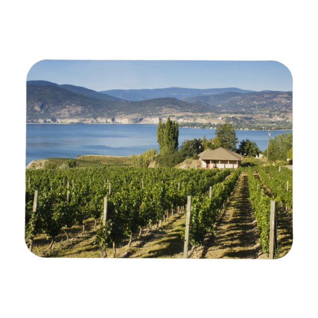 NA; Kanada; British Columbia; Okanagan Valley; Magnet (Horizontal)