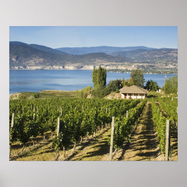 NA; Kanada; British Columbia; Okanagan Valley; Poster (Vorne)