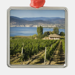 NA; Kanada; British Columbia; Okanagan Valley; Silbernes Ornament