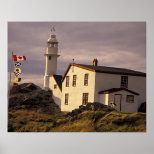 NA, Kanada, Neufundland, Lobster Cove. Hummer Poster