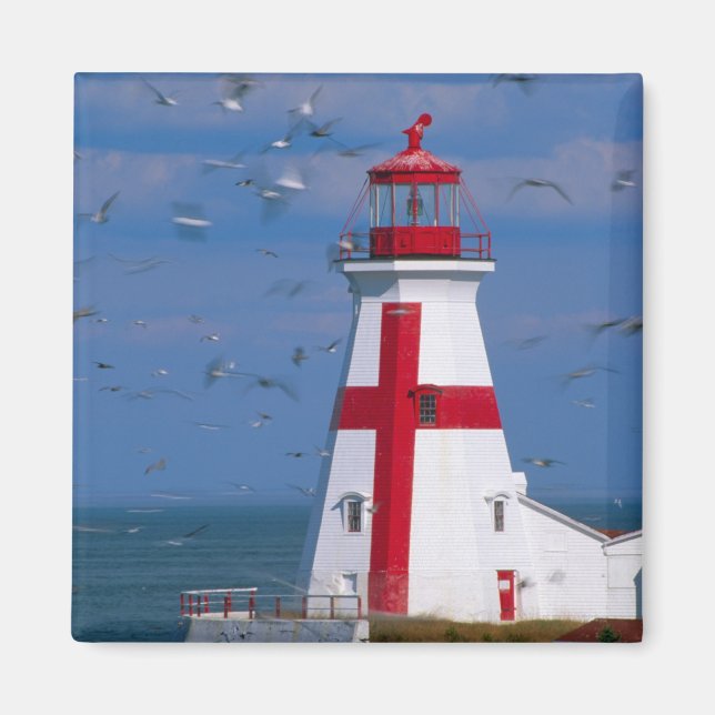 NA, Kanada, New Brunswick, Campobello Island. 8 Magnet (Vorne)