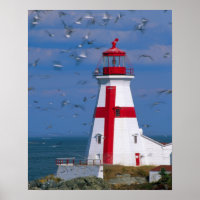 NA, Kanada, New Brunswick, Campobello Island. 8