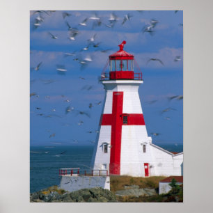 NA, Kanada, New Brunswick, Campobello Island. 8 Poster