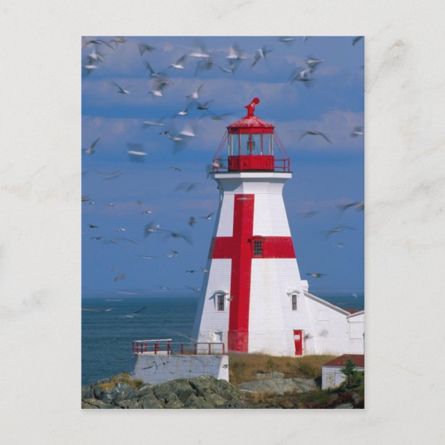 NA, Kanada, New Brunswick, Campobello Island. 8 Postkarte (Vorderseite)