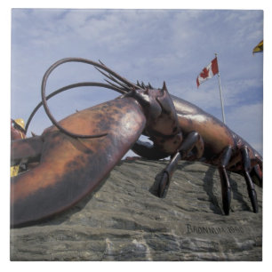 NA, Kanada, New Brunswick, Shediak, World's Fliese