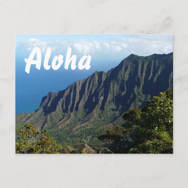 Na Pali Coast, Hawaii Aloha Text Postkarte (Vorderseite)
