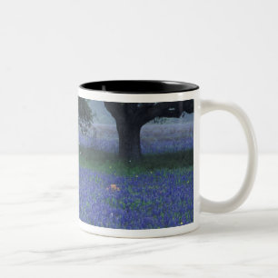 NA, Texas, Devine, Eichen und blaue Bonnets Zweifarbige Tasse