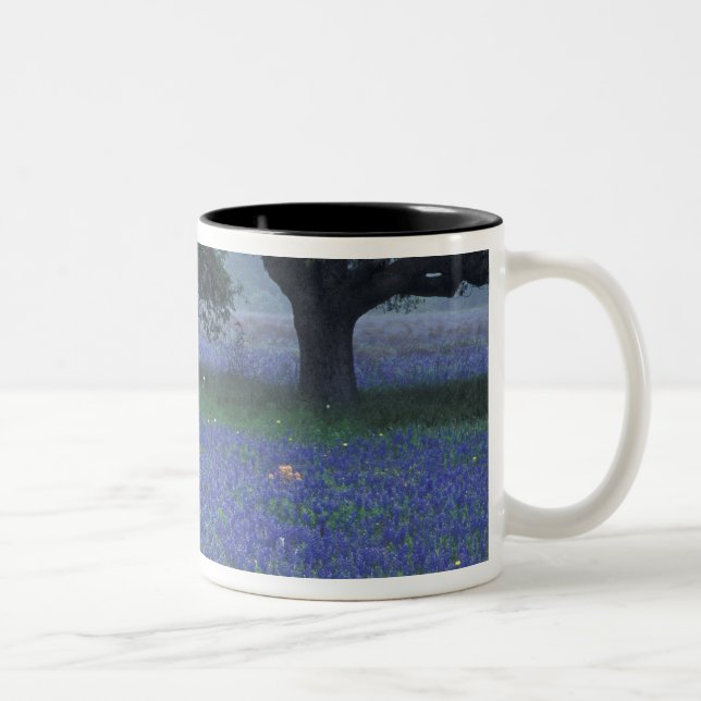 NA, Texas, Devine, Eichen und blaue Bonnets Zweifarbige Tasse (Rechts)
