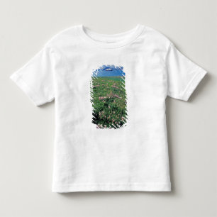 NA, USA, Alaska, Aleuten, Landschaft mit Kleinkind T-shirt
