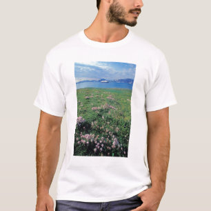 NA, USA, Alaska, Aleuten, Landschaft mit T-Shirt