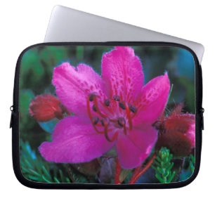 NA, USA, Alaska, Aleuten, Wildblumen Laptopschutzhülle