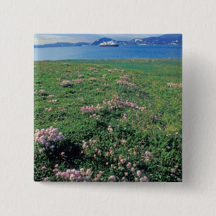 NA, USA, Alaska, Aleutian Island, Landschaftlich m Button