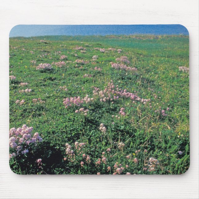 NA, USA, Alaska, Aleutian Island, Landschaftlich m Mousepad (Vorne)