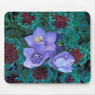 NA, USA, Alaska, Aleutian Islands, Wildblumen 2 Mousepad