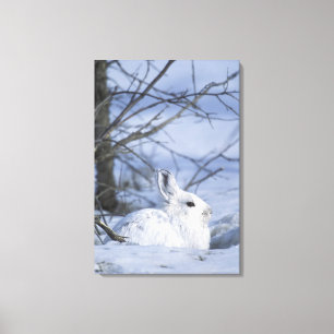 NA, USA, Alaska. Arktische Naturlandschaft Leinwanddruck