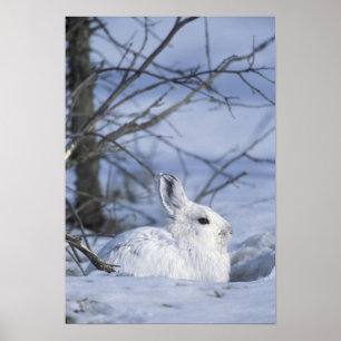 NA, USA, Alaska. Arktische Naturlandschaft Poster