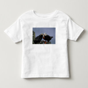 NA, USA, Alaska, Beringmeer, Pribilofs. Schopf- Kleinkind T-shirt