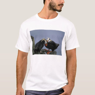 NA, USA, Alaska, Beringmeer, Pribilofs. Schopf- T-Shirt