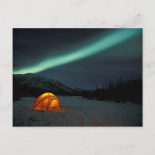NA, USA, Alaska, Brooks Range. Grüne Vorhänge Postkarte