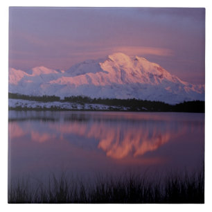 NA, USA, Alaska. Denali-Nationalpark. Berg Fliese