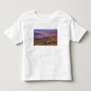 NA, USA, Alaska, Denali NP, Blick auf McKinley Kleinkind T-shirt
