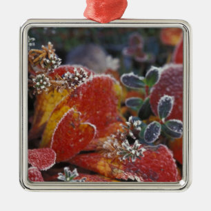 NA, USA, Alaska, Denali NP Mattiert, einfarbig Silbernes Ornament