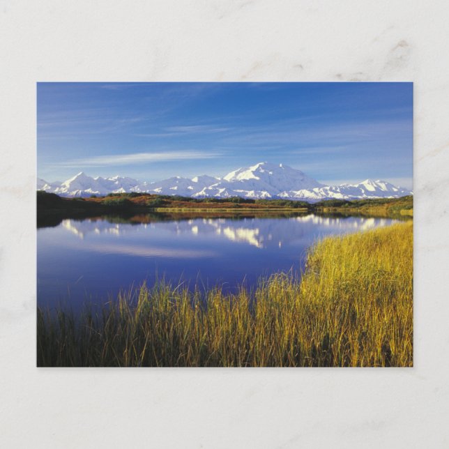 NA, USA, Alaska, Denali NP McKinley in Postkarte (Vorderseite)