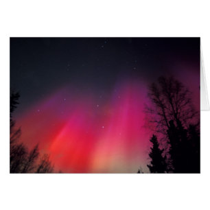 NA, USA, Alaska, Fairbanks, Vorhänge von Rosa und